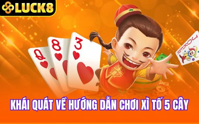 Khái quát về hướng dẫn chơi Xì Tố 5 Cây